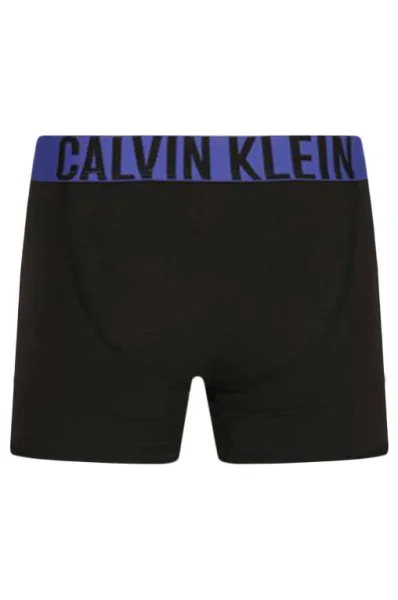 трусики-боксери 2 шт. Calvin Klein Underwear сірий